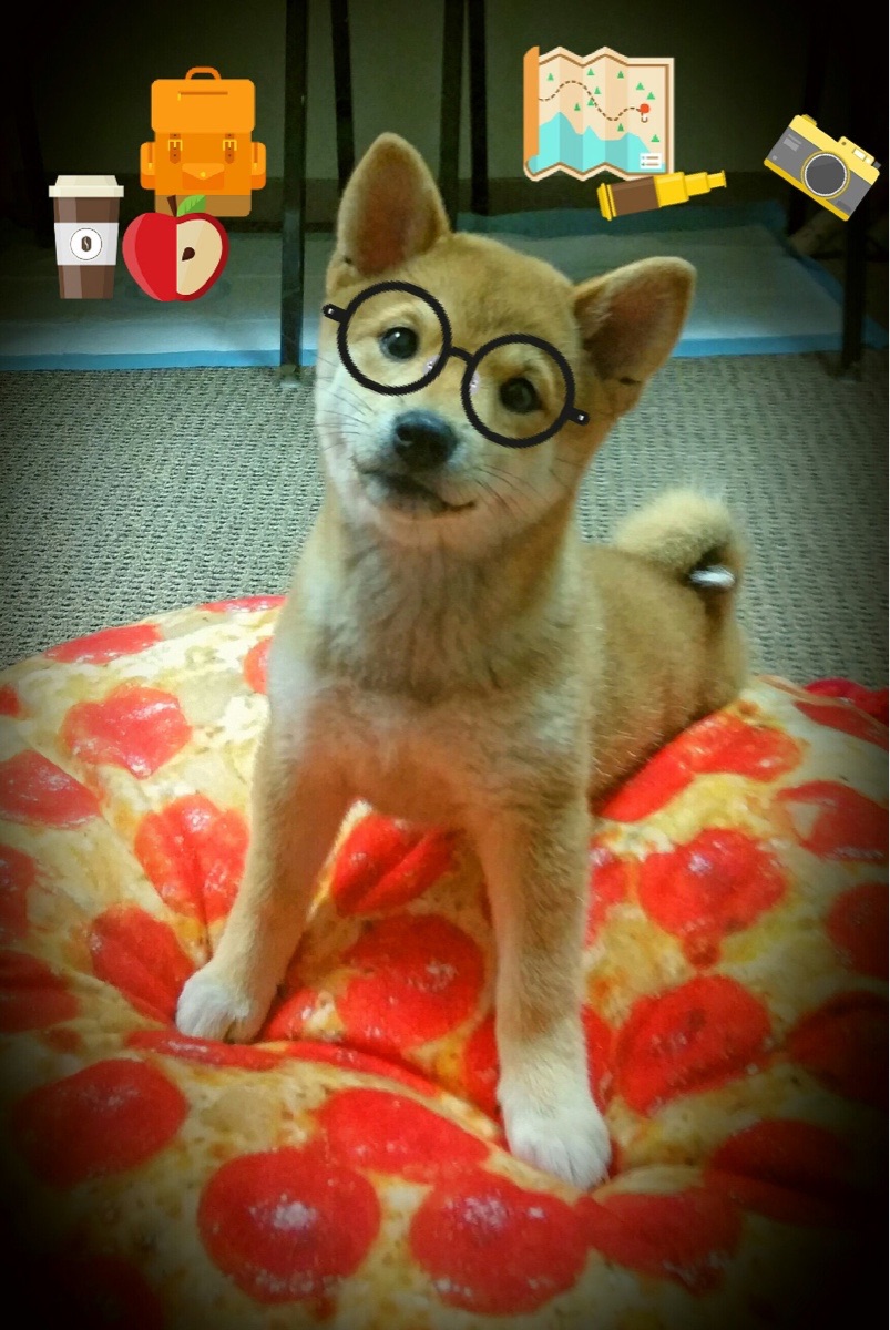 从防守铁闸到进攻核心,霍勒迪如何用一场比赛完成蜕变?