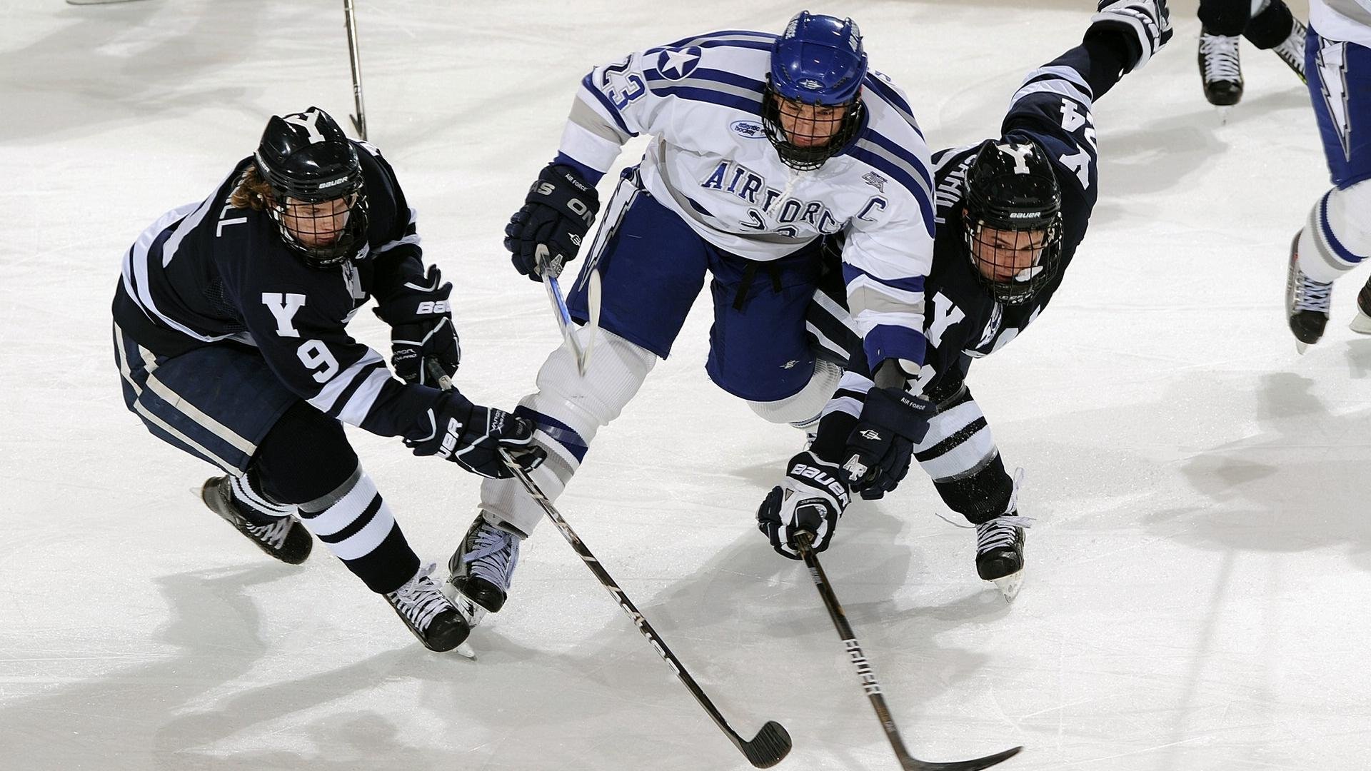 青春风暴遭遇老辣狙击!猛龙三分雨淹没黄蜂,季后赛碾压局警示新贵